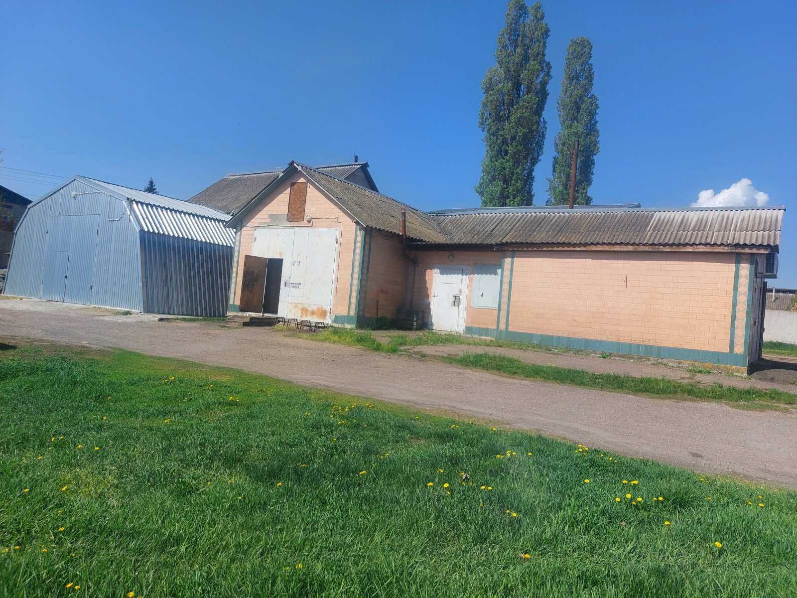 Продається олійниця (олійний цех) у селі Білозір`я