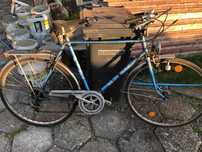 Rower firmy EPPLE