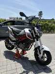 Benelli tnt 125.