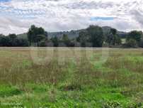 Quintinha com 4,41ha para venda em Caria, Belmonte!