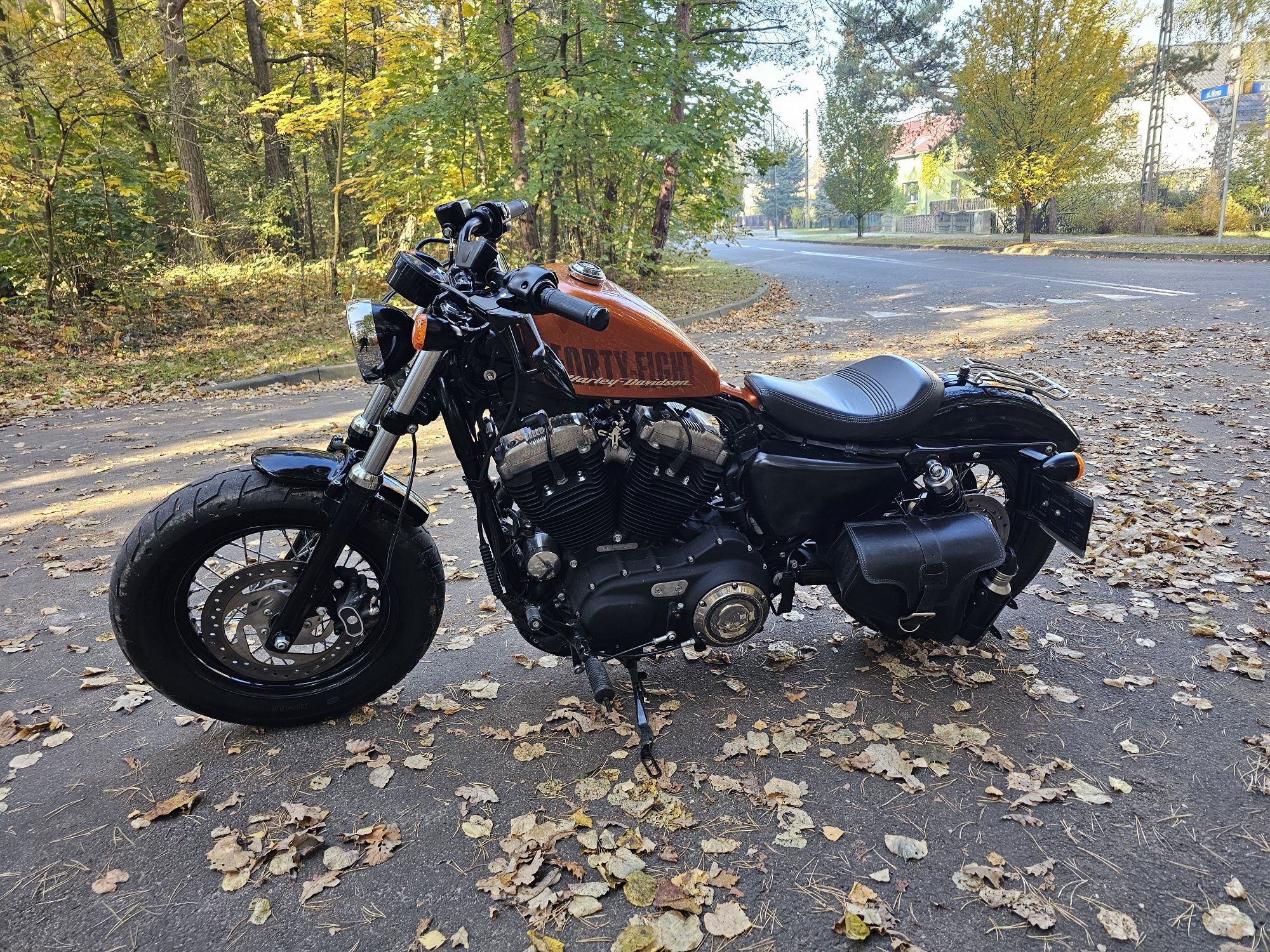 Harley Davidson Sporster Peanut 48