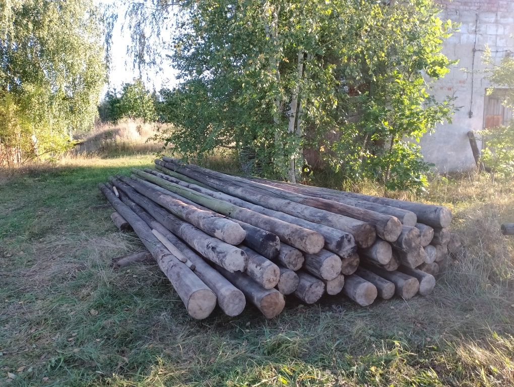 Słupy drewniane do chmielu ogrodu itp