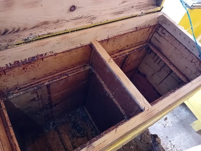 Ule Warszawskie poszerzane na dwie rodziny pszczele SUPER STAN