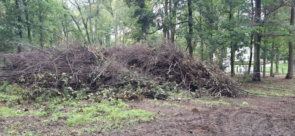 Hrust drewno gałęzie