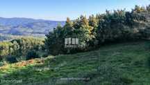 Venda de Terreno com anexos, Padreiro, Arcos de Valvevez