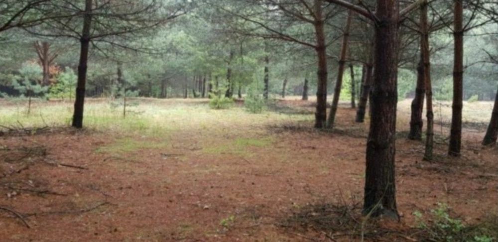 13500.m2 przy drodze krajowej nr9 MERCEDES GLE COUPE lub inny ciekawy