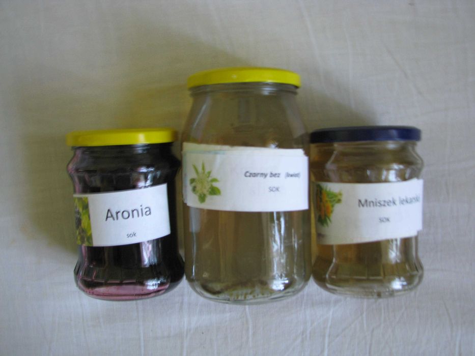 sok aronia ,wiśnia, mniszek lekarski , dziki bez kwiat ,