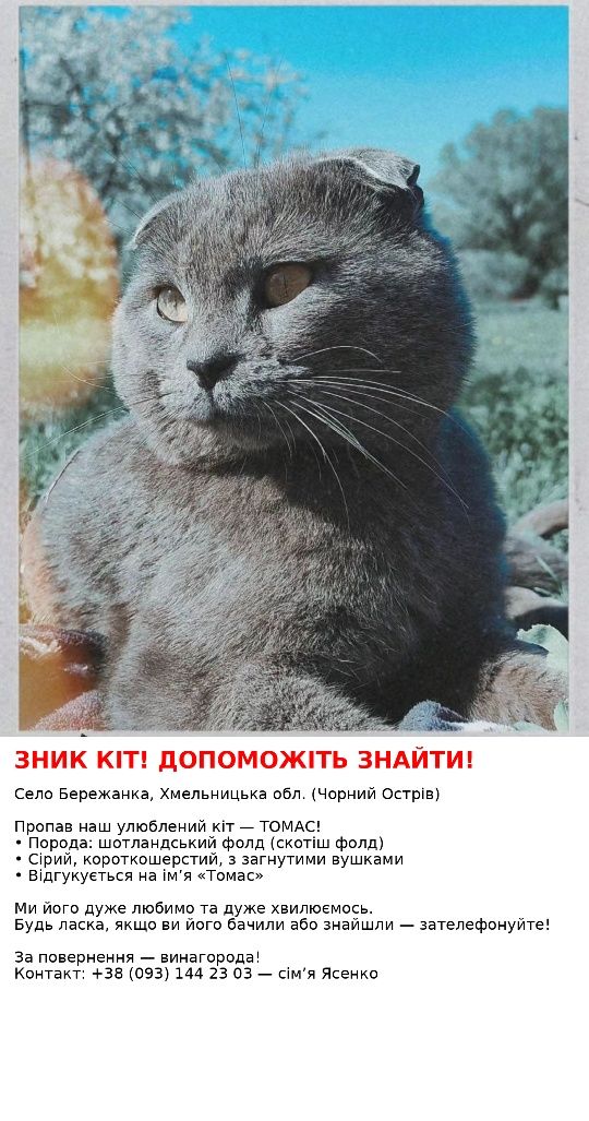 Зник Котик Томас