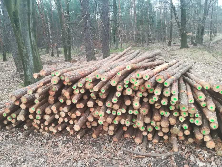 Stemple budowlane nowe 3mb stojaki podpory drewniane słupki solidne
