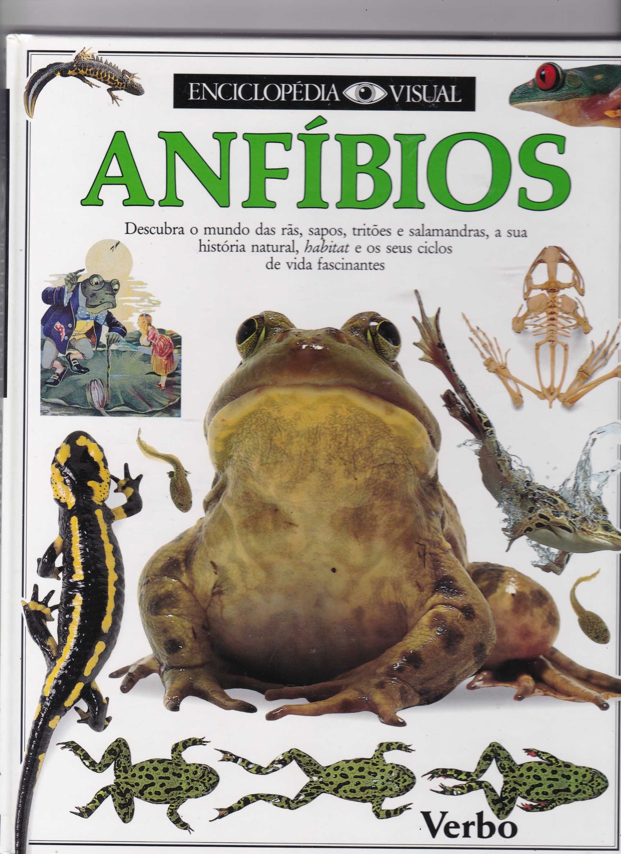 Como viviam os Romanos e outros livros juvenis - vários preços