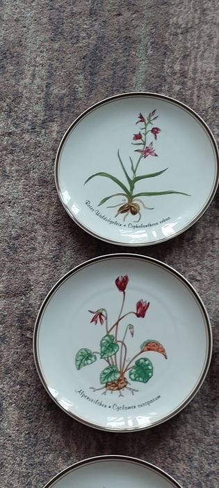 Rosenthal " Z miłości do natury" 12 talerzy