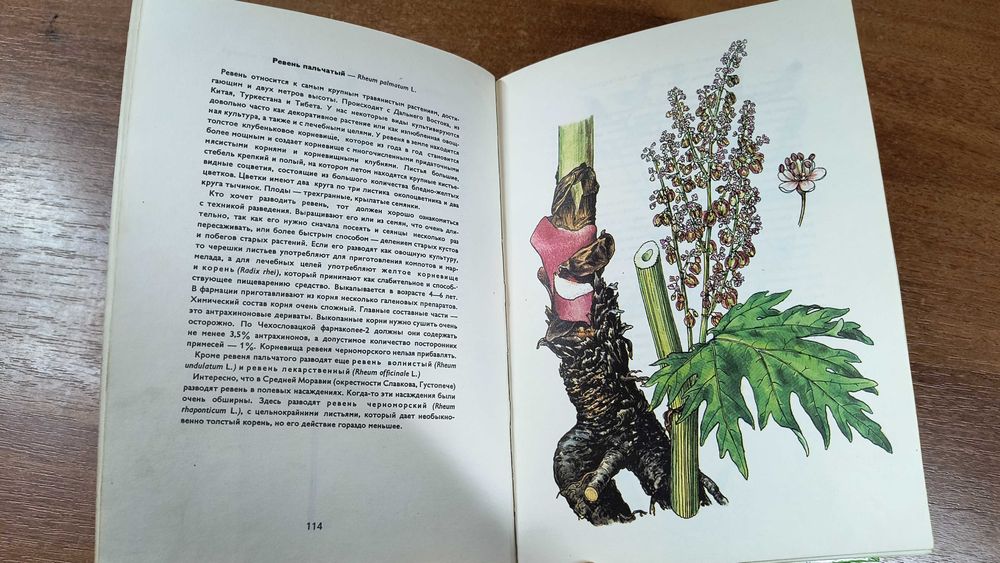 Атлас лекарственных растений (Мацку, Крейча)