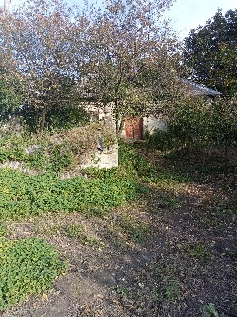 Будинок із земельною ділянкою