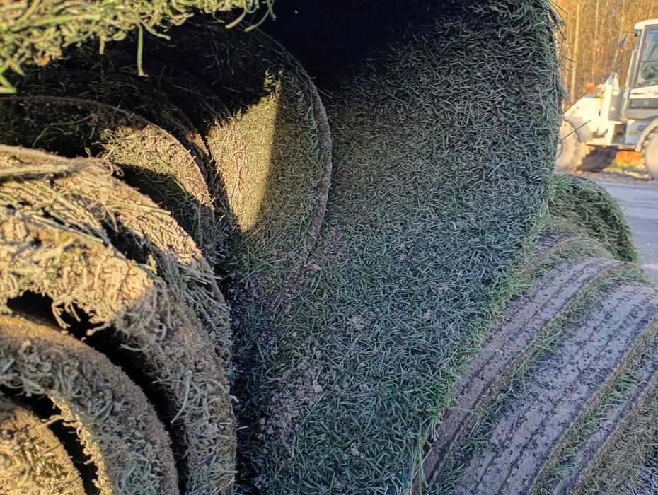 Sztuczna Trawa w Rolkach