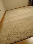 Carpete Bege 2,70 x 2,00