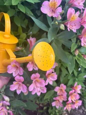 Regador Artesanal 2 L