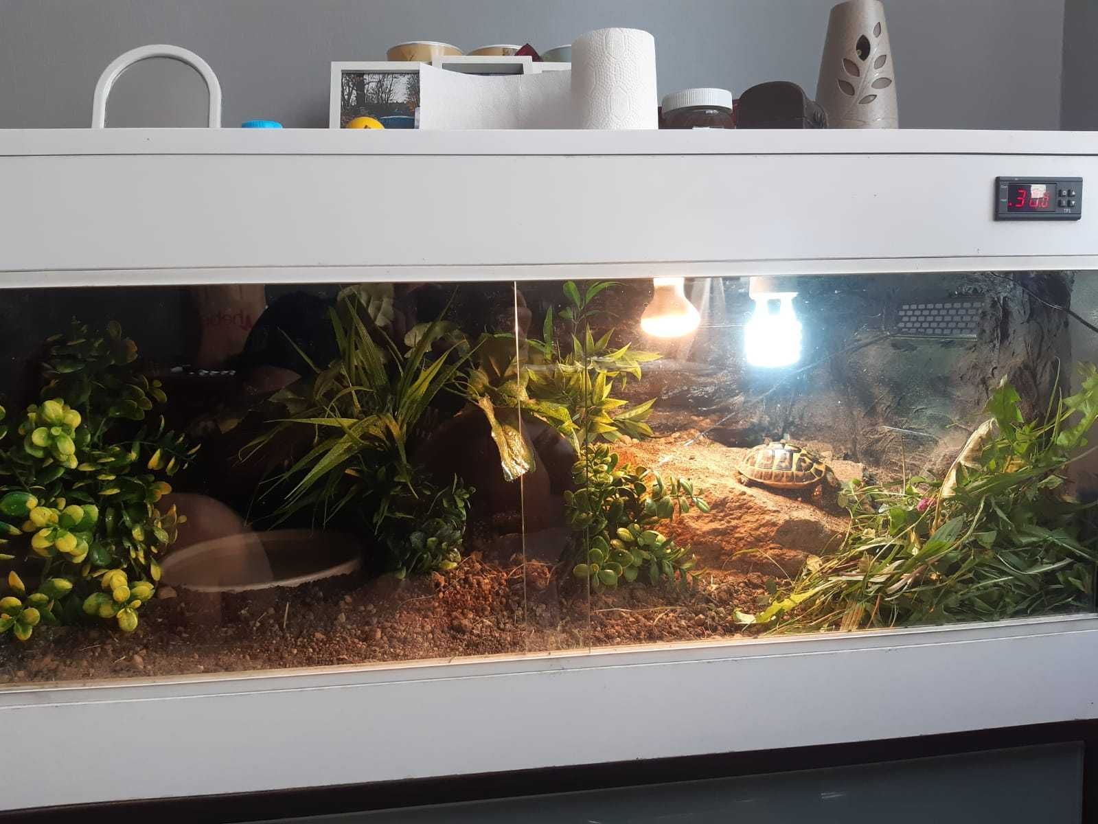 Sprzedam terrarium z całym wyposażeniem