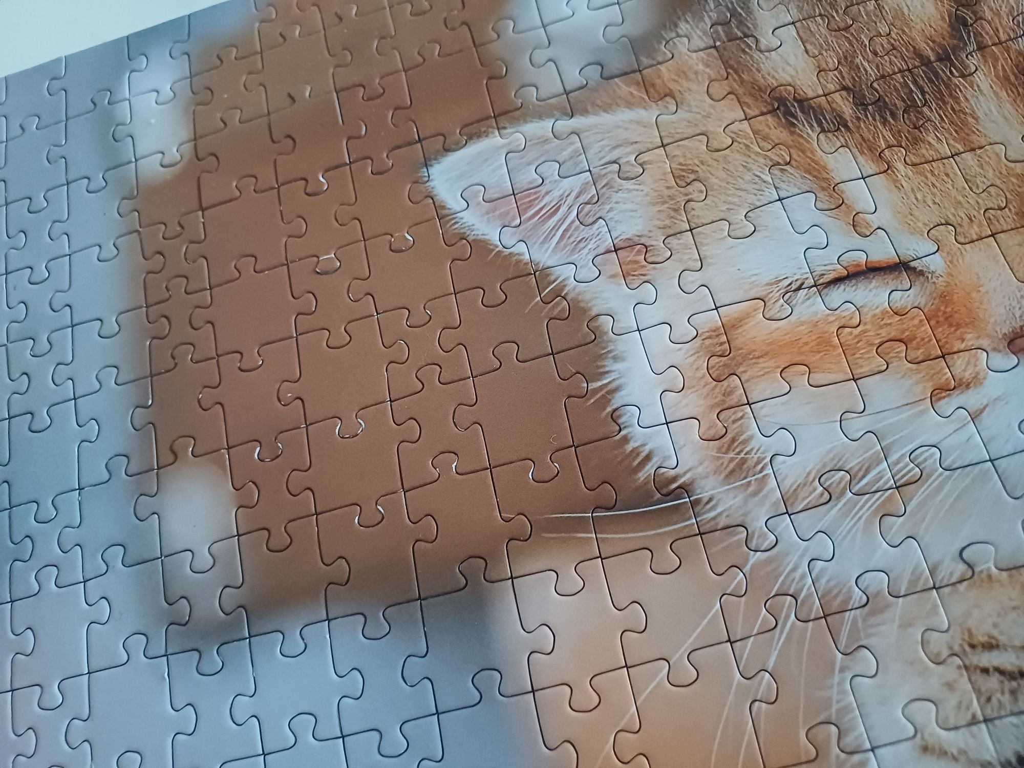 Puzzle Trefl 2x500,1000 kotki edycja limitowana