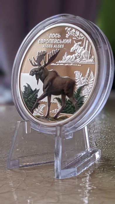 Сміливість бути ua, Кохання, Лелека, рік дракона НБУ