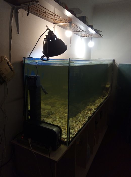 Басейн для ваших рыбок или черепахи на 650л.