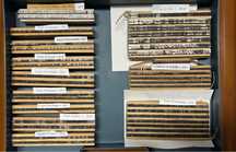 Letterpress/Tipos de Letra