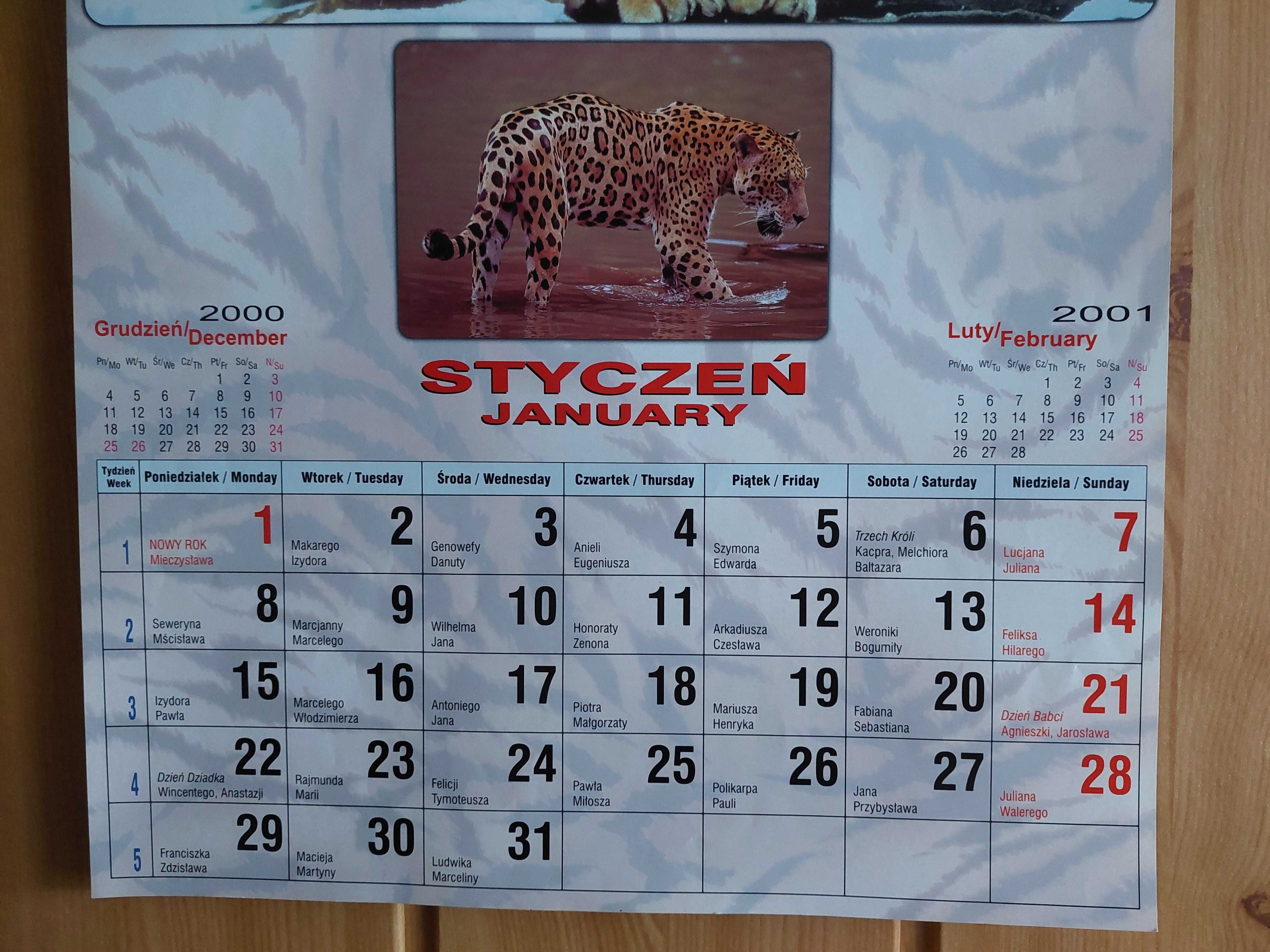 Kalendarz - Dzikie koty (2001)
