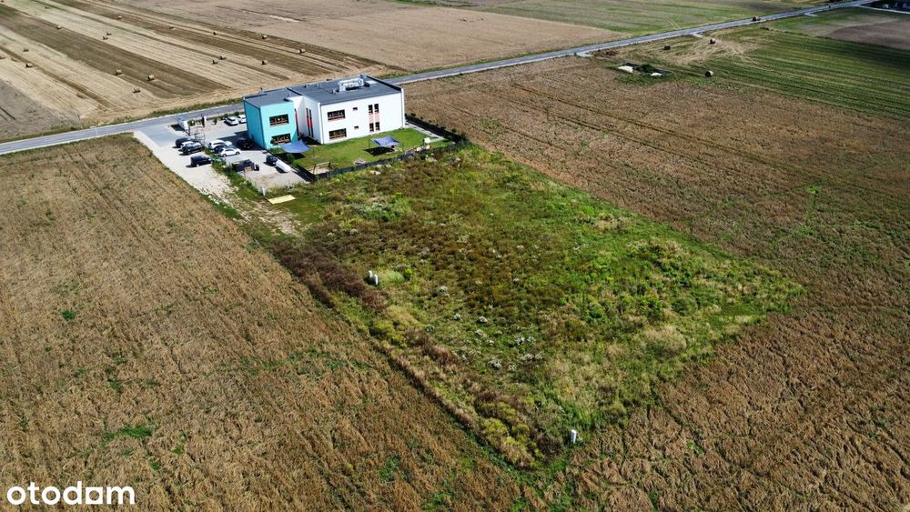 Działki Budowlane W Dąbrowie — Gotowe Pod Budowę Twojego Domu