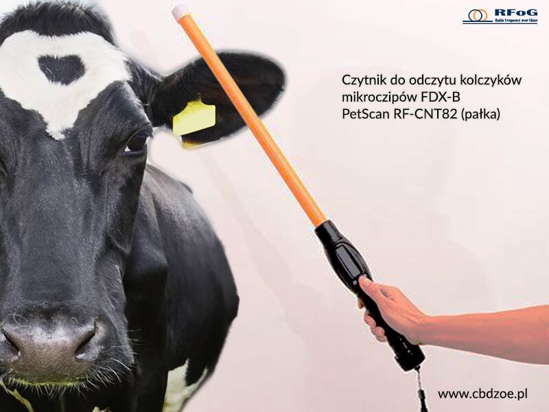 Czytnik mikroczipów zwierząt PetScan RF-CNT82 FDX-B HDX