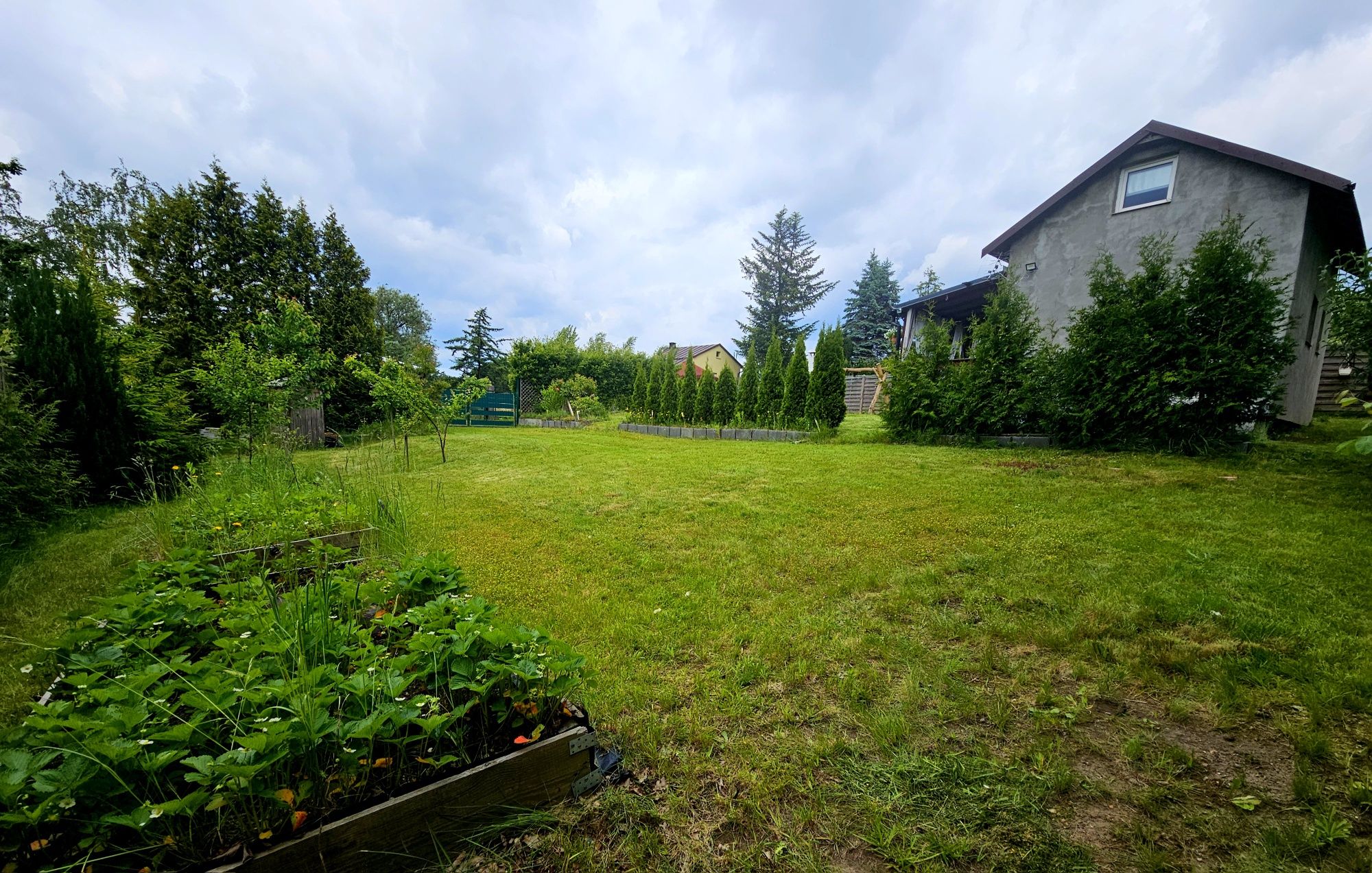 Działka ROD Przylesie Gdańsk Złota Karczma podwójna 600m² pod lasem