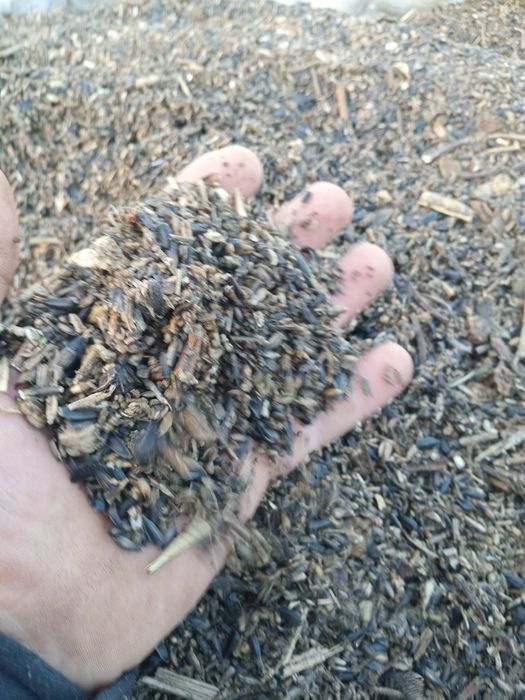 Куплю відходи соняшника.Врадіївка