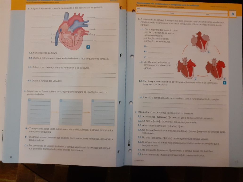 Caderno Atividades e manual VIVA A TERRA Ciências 5º