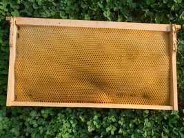 Бджолина суш Рута 230мм / Сушь Пчелиная / Пчелинные Соты