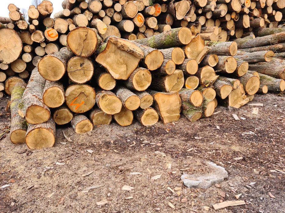 Drewno opalowe,kominkowe