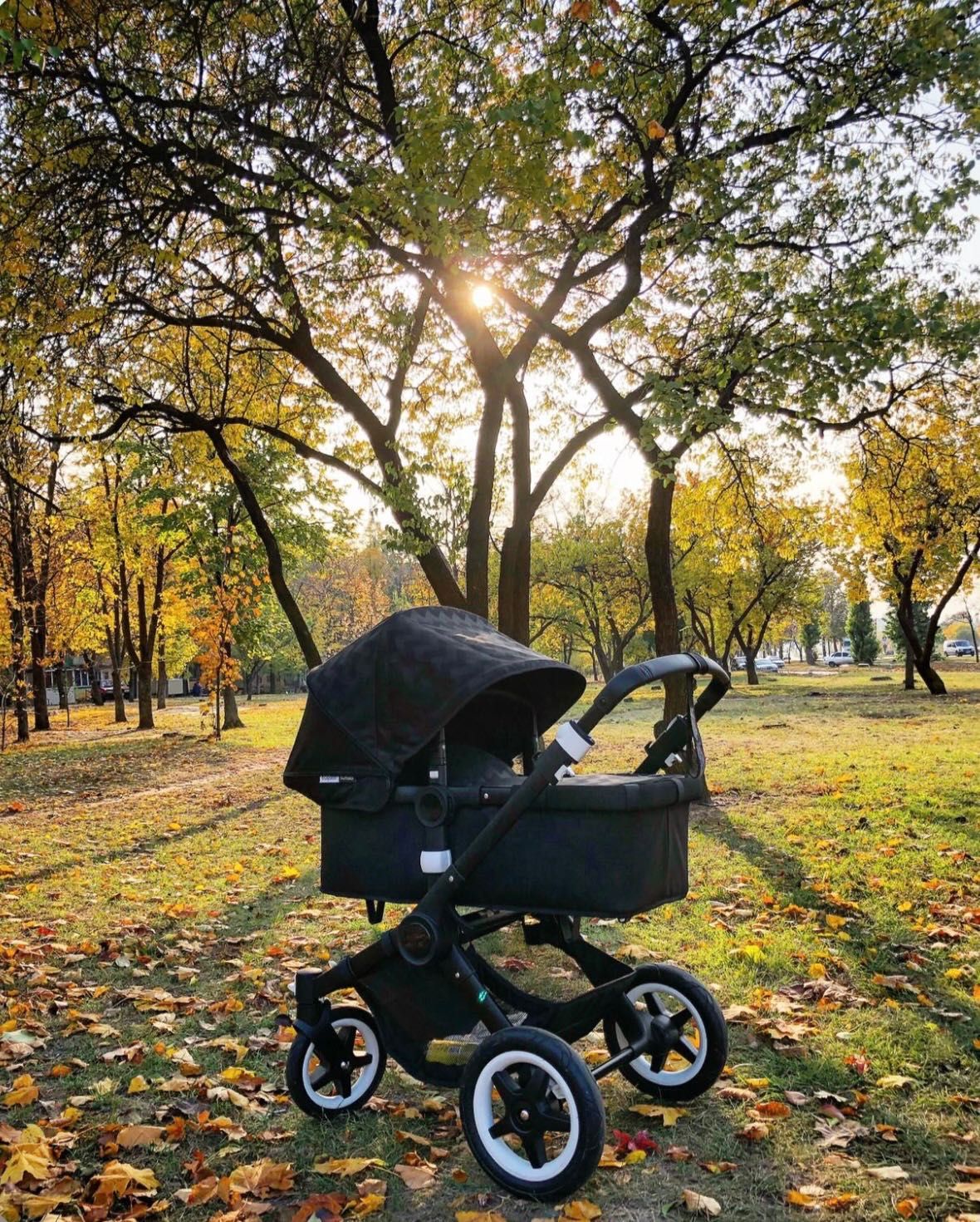 Коляска  Bugaboo