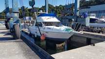 Vendo Barco Bayliner