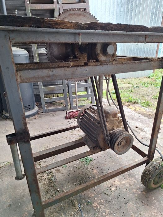 Piła tarczowa  Krajzega Tarczówka