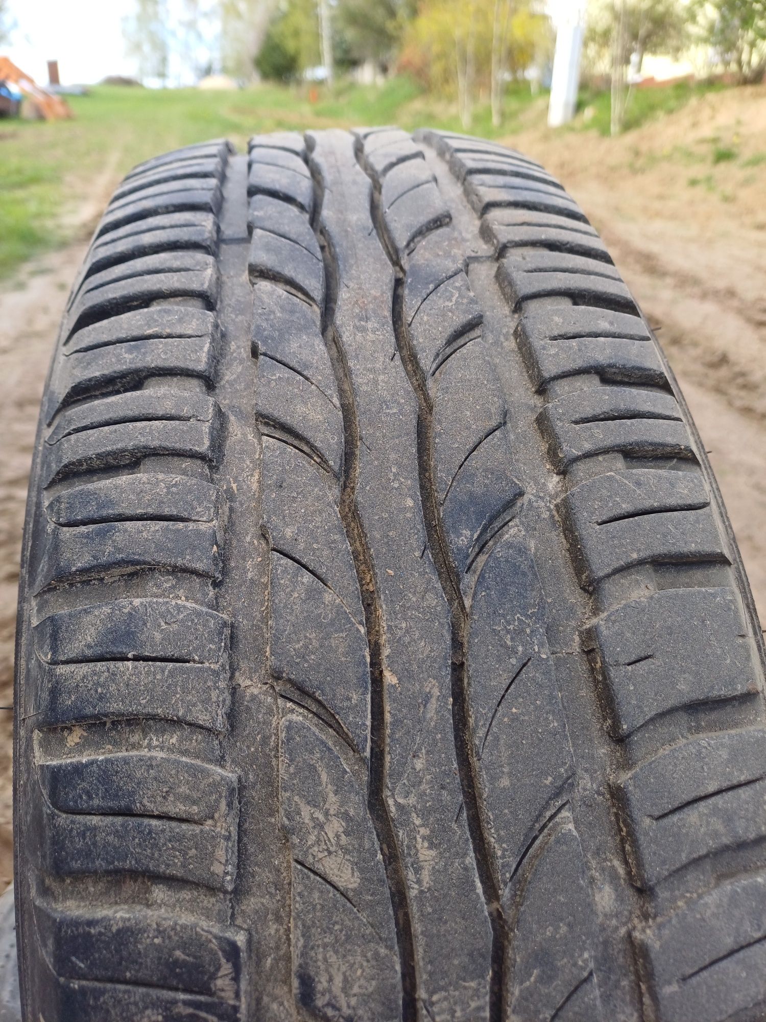 Opony letnie 205/65R15 Dębica