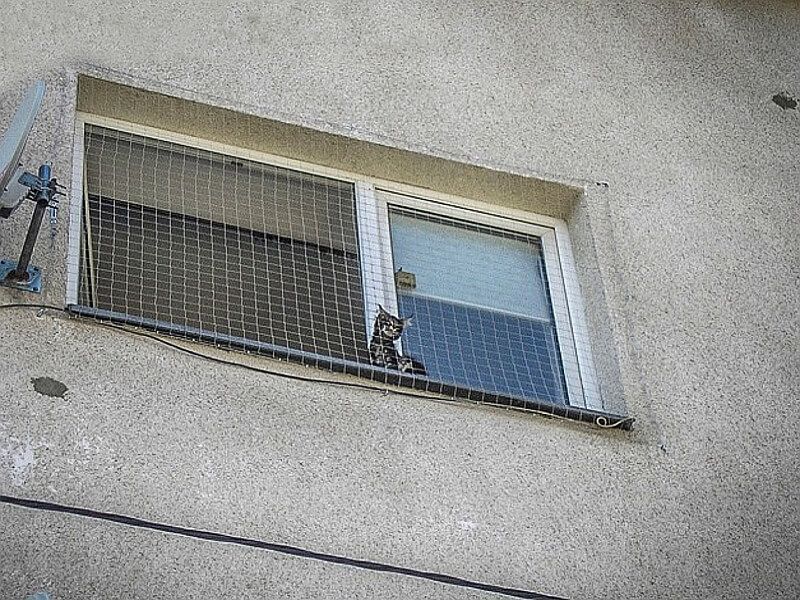 Wzmocniona Siatka Dla Kota ochronna na balkon Oczko 40 mm