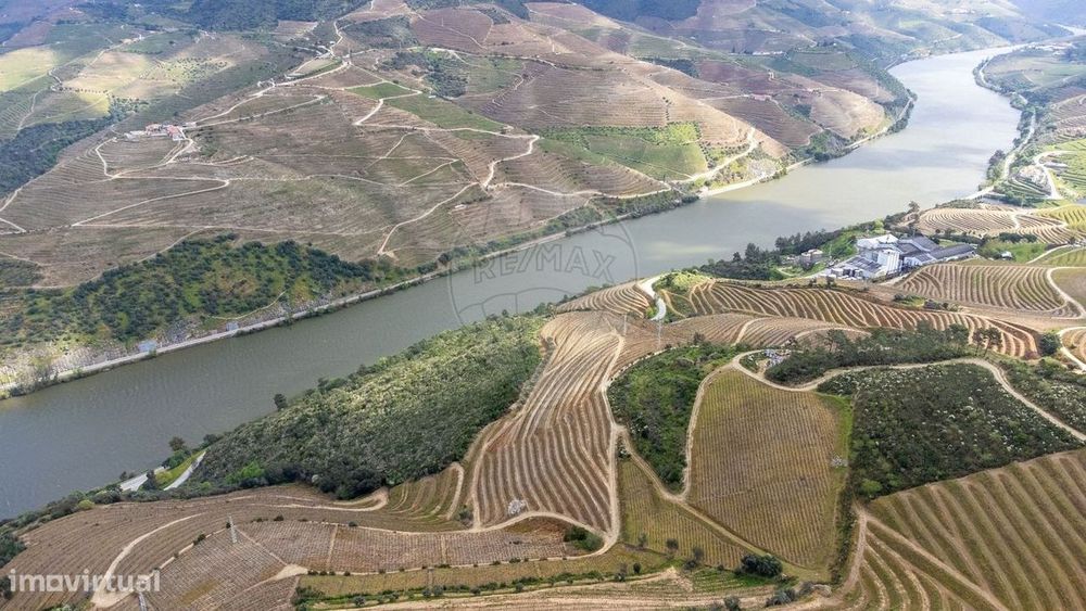 Terreno  para venda
