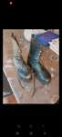 Botas tipo militar 42