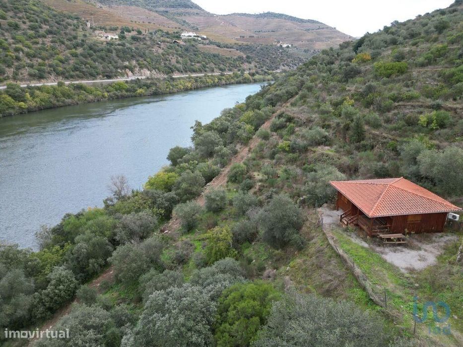 Quinta T7 em Ervedosa do Douro de 2354,00 m2