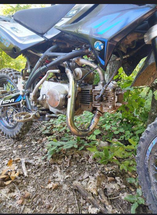 Продав кові всь в описанії