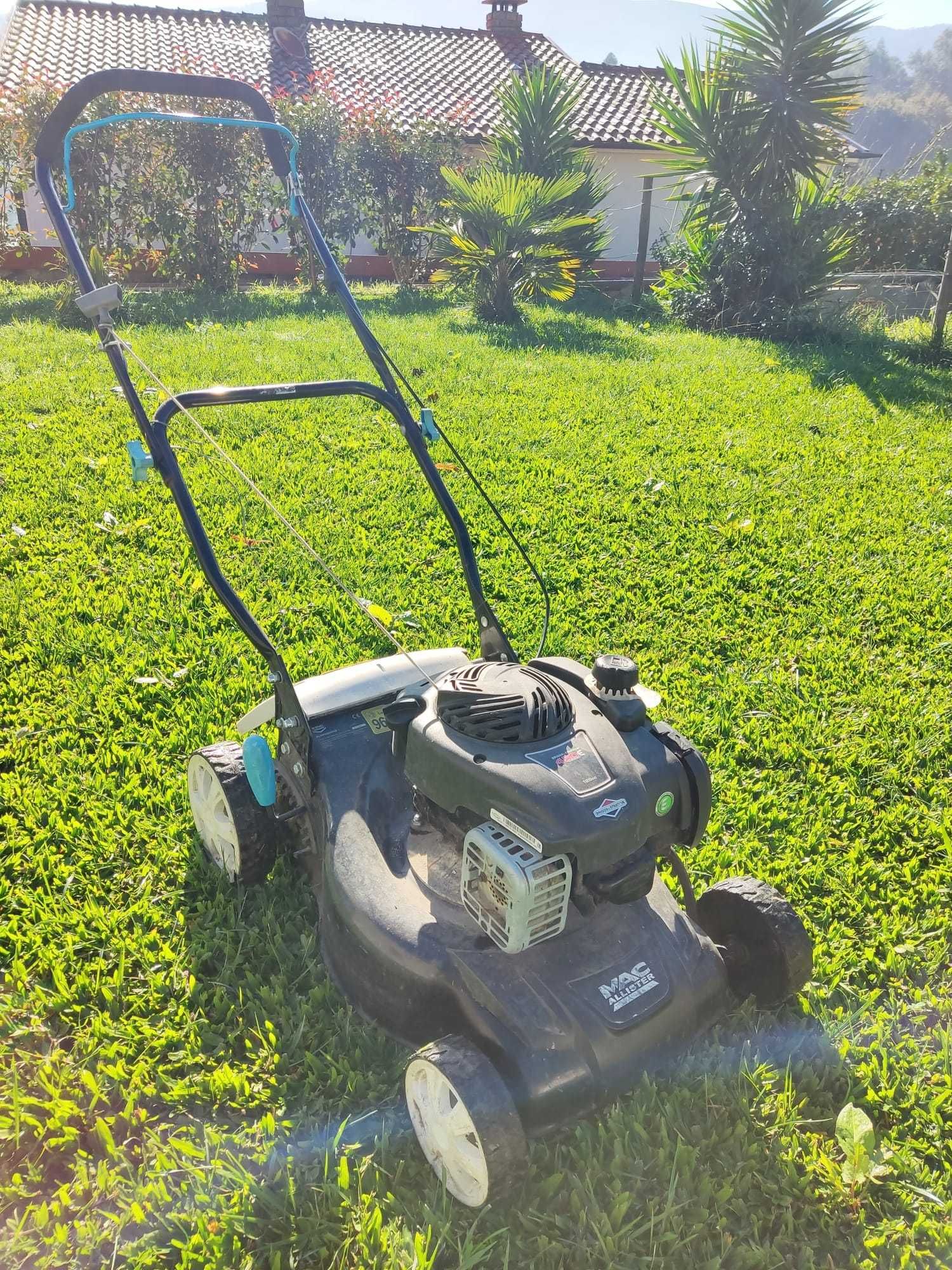 Máquina Relva Gasolina