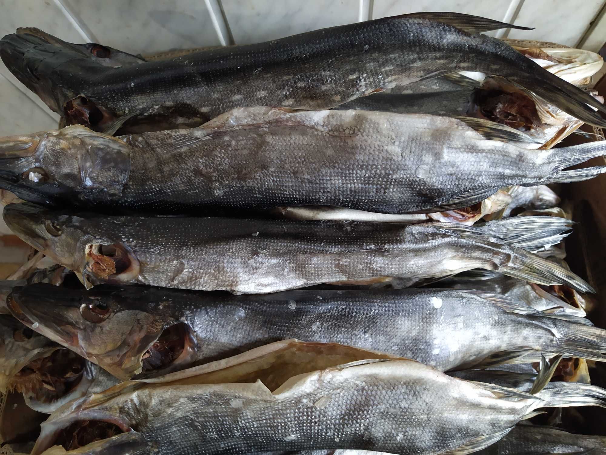 Сушена риба (щука, лящ, таранка, густера, судак, окунь, карась)