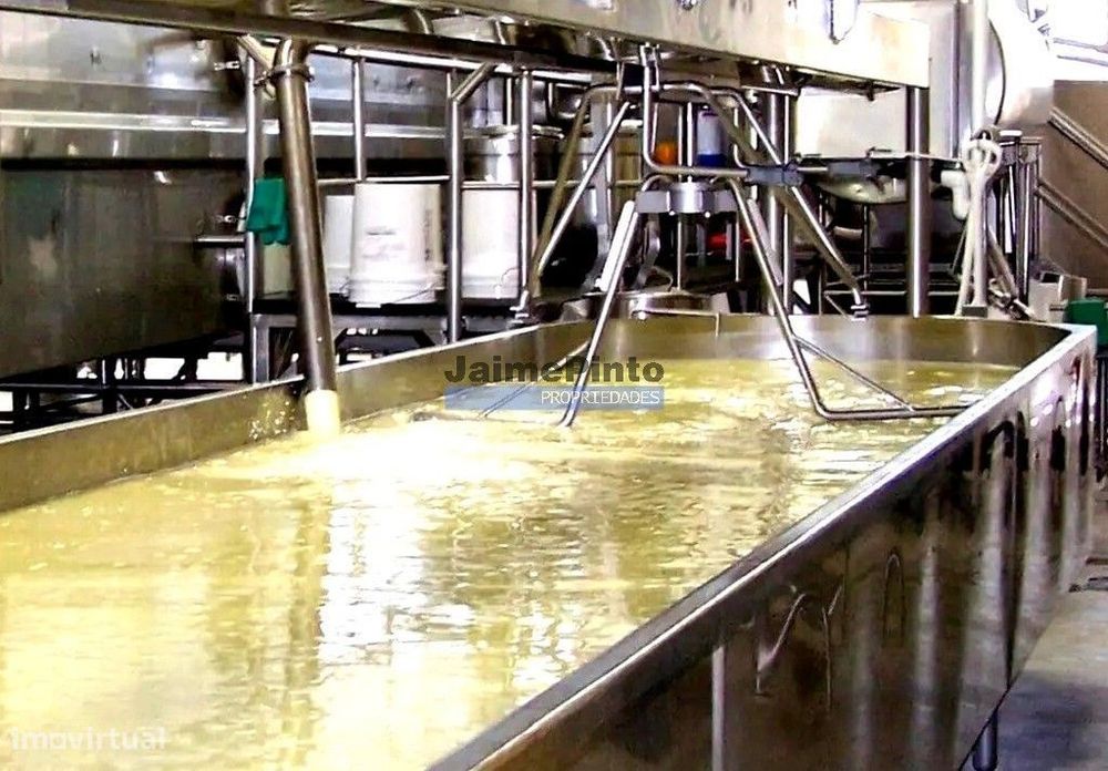 Indústria, Fábrica de Queijo, Participação maioritária. Portugal, G...