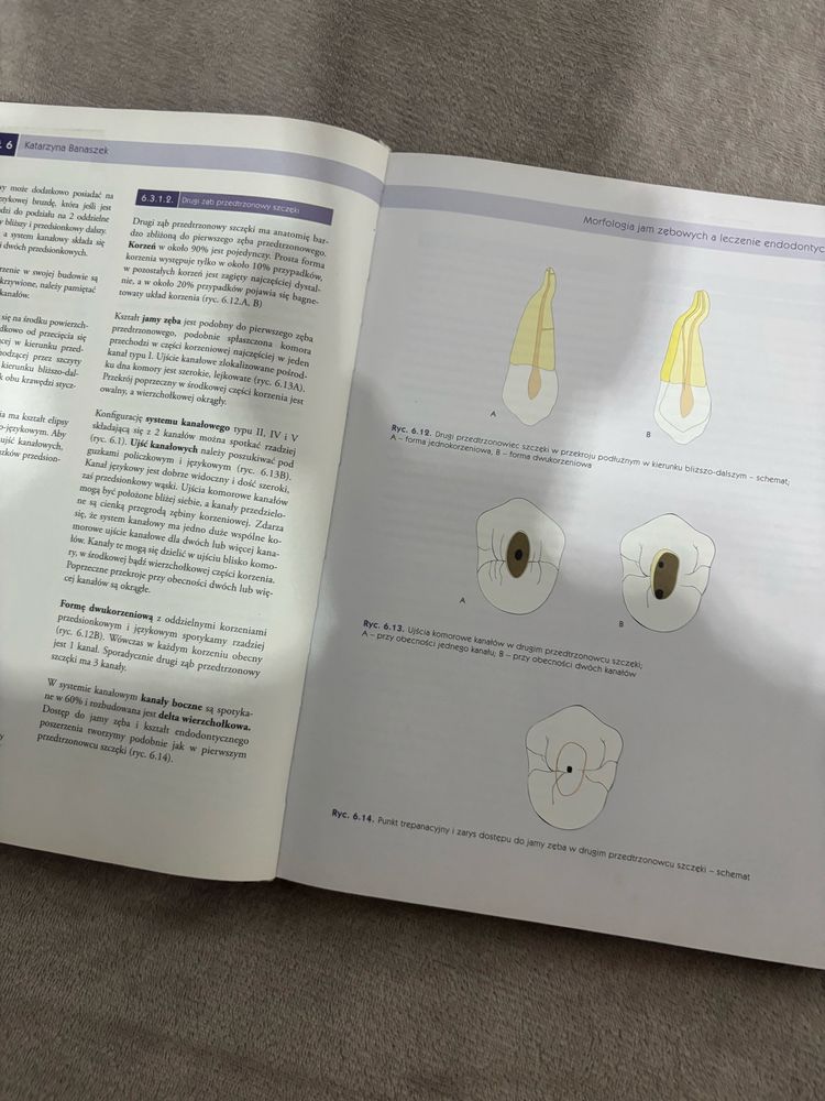 Wspoółczesna endodoncja w praktyce