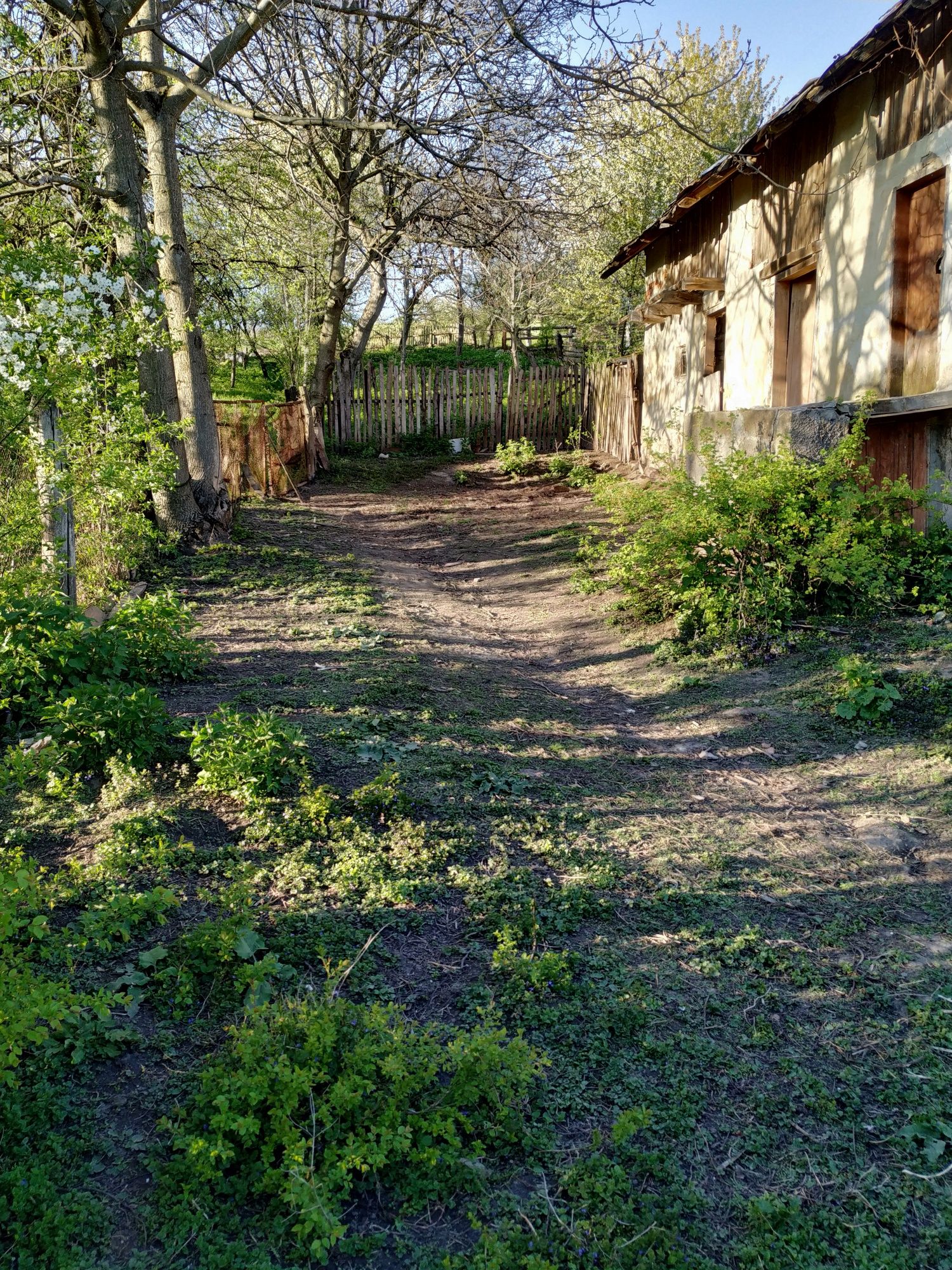 Велика земельна ділянка будинок сад