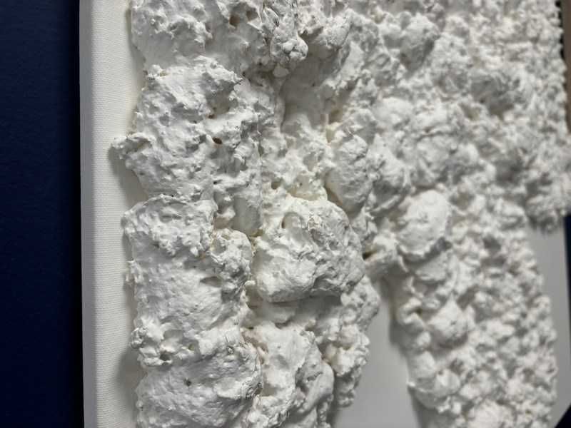 Ręcznie malowany obraz na płótnie Organic 3D 88x118cm Malerifabrikken