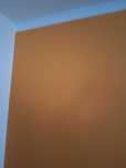 Pinturas interiores e exteriores ou outros serviços