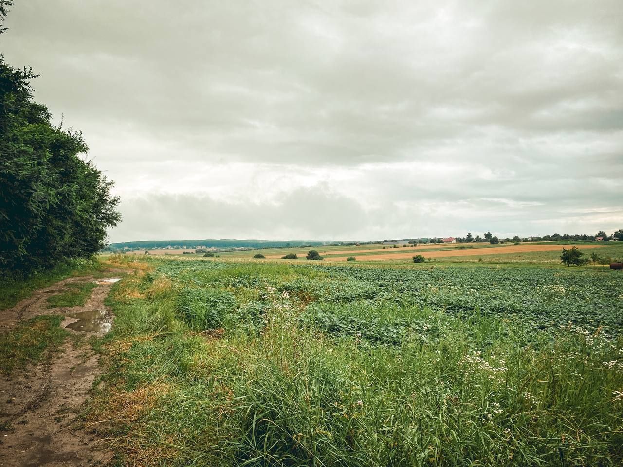 Земельна ділянка під забудову Тарашани, Чернівці